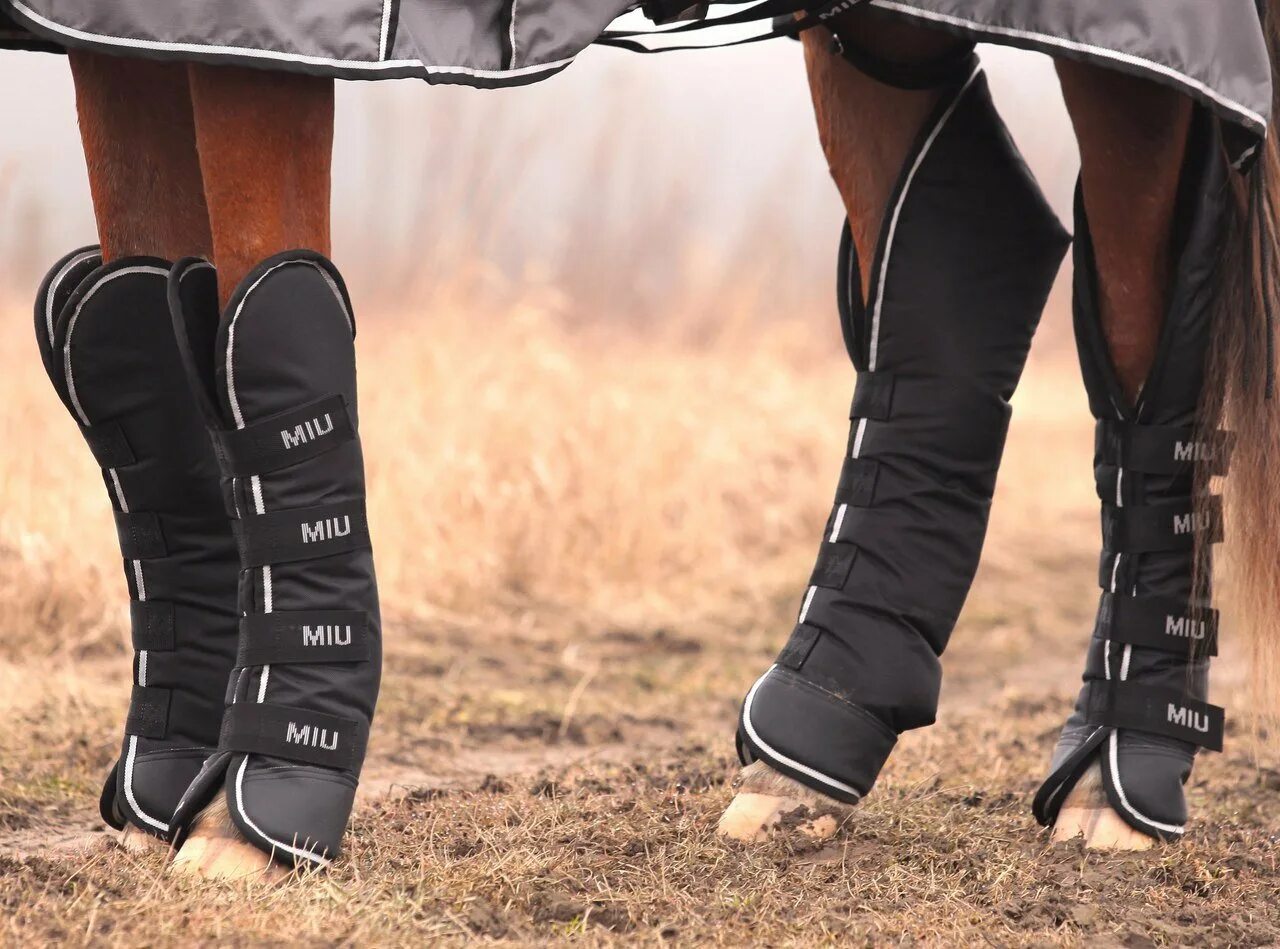 Кожаные гетры для ног лошади. Ногавки eskadron. Ногавки рысистые. Сапоги из пони с верблюдом. Вальтрапы для лошадей эскадрон.