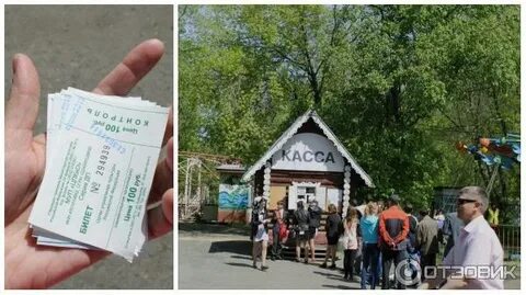 Цпкио билеты