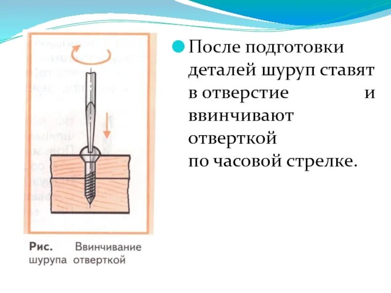 Соединение деталей шурупами. При соединении деталей шурупами используются. Соединение деталей шурупами производят: 1) отверткой. Доклад соединение деталей из древесины шурупами и саморезами 5 класс. Подвижное соединение деталей на проволоку, толстую нитку..