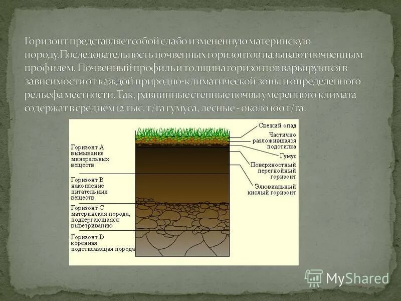 почвенный срез схема. почвенный горизонт урбик. плодородный слой земли гумус. почвы состав строение и структура. плоский слой почвы 5.