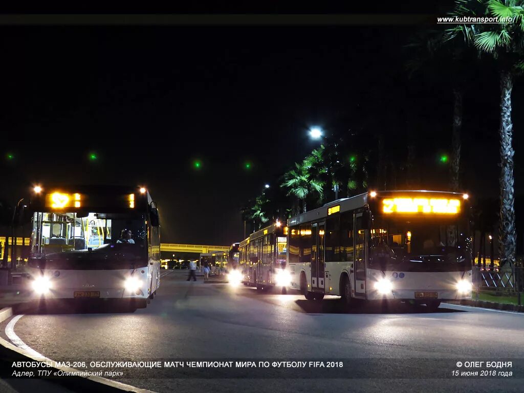 МАЗ-203 автобус Сочи Олимпийский парк. Сочи автобус ночь. Общественный транспорт Сочи. Автобус МАЗ В Сочи.