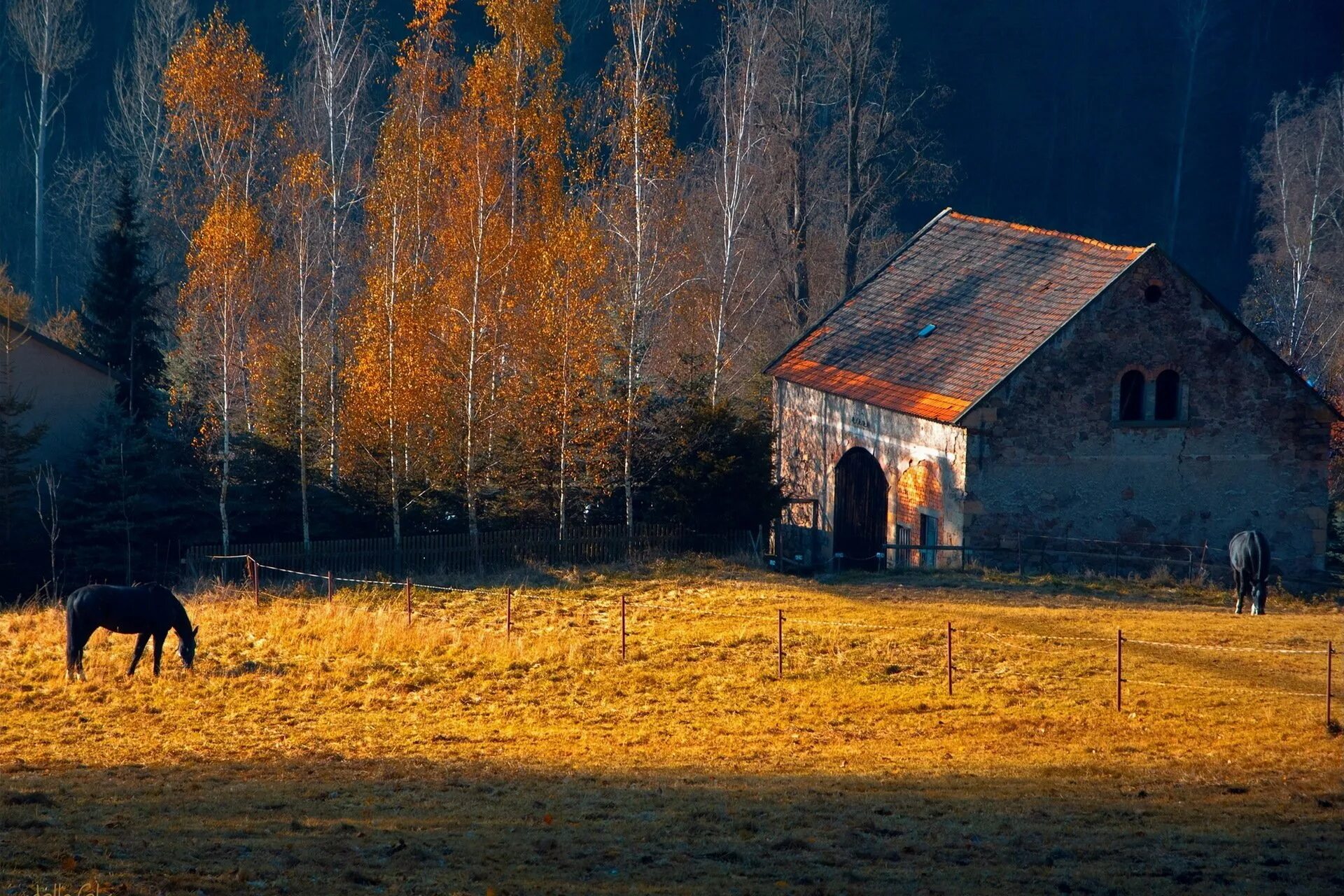 Деревни готов. Осень в деревне. Деревня осенью. Красивая осень в деревне. Природа деревня.