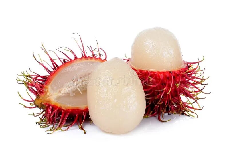 Rambutan fz capcat. Рамбутан вес 1 шт. Рамбутан фрукт. Рамбутан личи дуриан. Фрукты тайланда рамбутан.