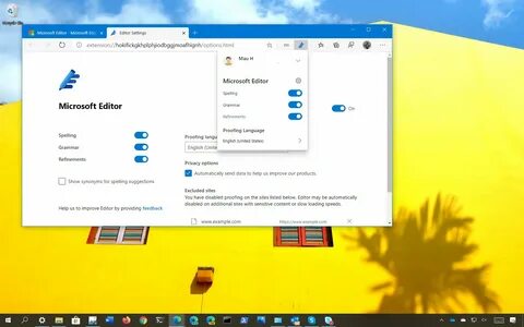 Microsoft editor