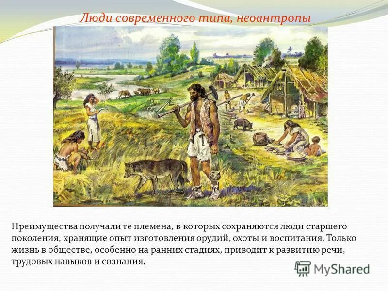 Люди современного типа неоантропы. Люди современного типа неоантропы. Зденек буриан неандерталец. Люди современного типа неоантропы. Неоантропы кроманьонцы.