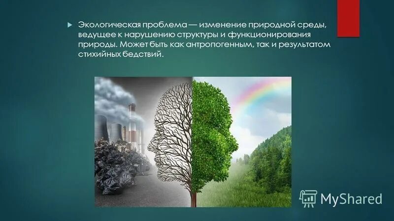 Естественное изменение. Состояние окружающей среды. Изменение природной среды. Природные изменения окружающей среды. Состояние экологии в современном мире.