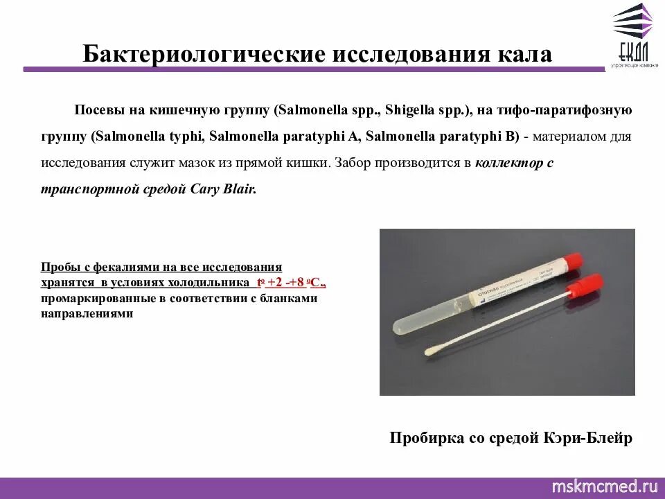 Мазок на гонорею алгоритм
