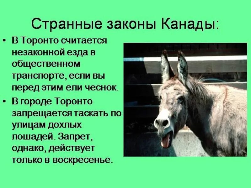 Интересная информация странах