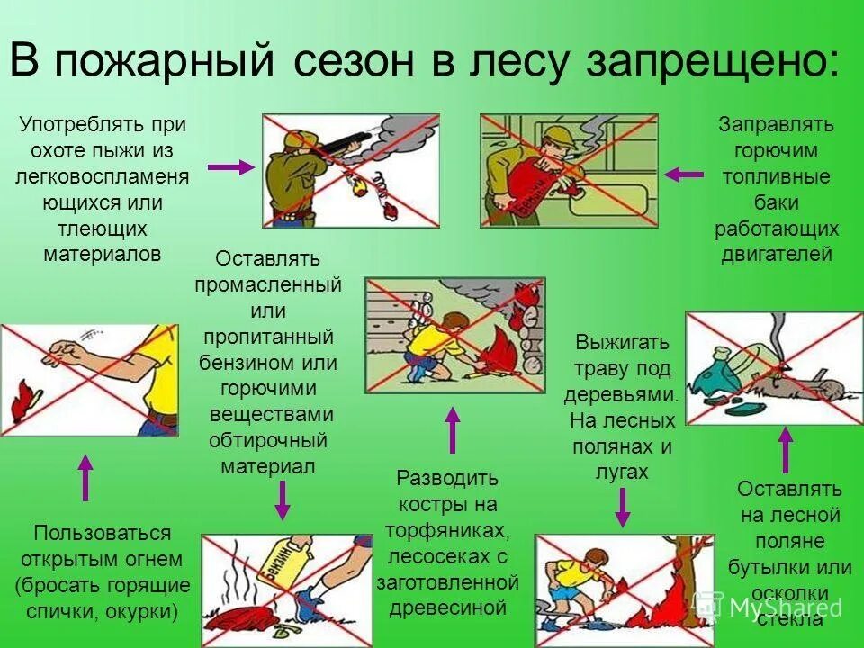 Пожарная безопасность в лесу запрещается. Что запрещается правилами противопожарного режима