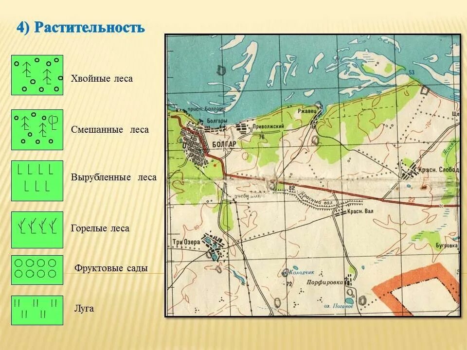 Лес на топографической карте. Топографическая карта леса. Хвойные леса на топографической карте. Леса на картах топография. Обозначения леса на карт