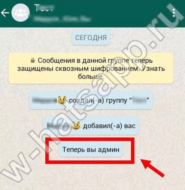 Как изменить админа в ватсапе. Как изменить админа в ватсапе
