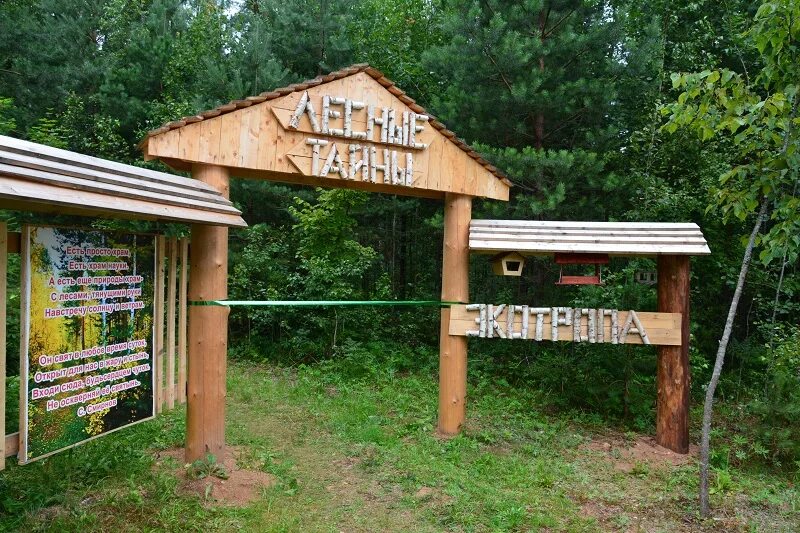 Экологическая тропа лес 1. Экотропа в белоруссии. Экологическая тропа тропаревский парк. Экотропа «лесные тропы» валдайский национальный прак. Валдай экотропа лесные тайны.