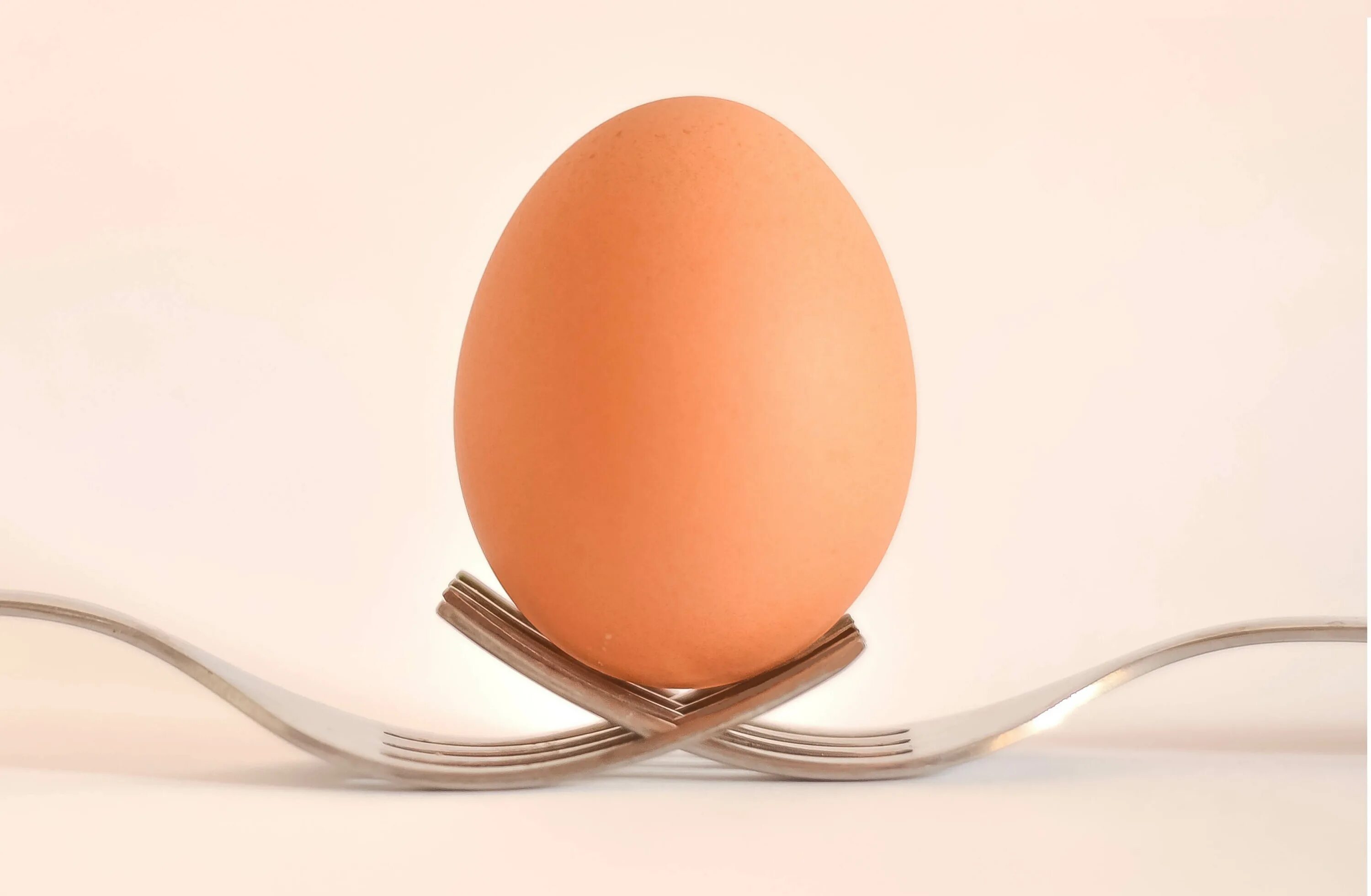 Egg картинки