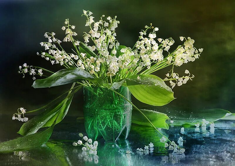 весеннего настроения ландыши. я подарю вам ландыши от души. красивые весенние открытки. ландыши. красивый весенний букет.