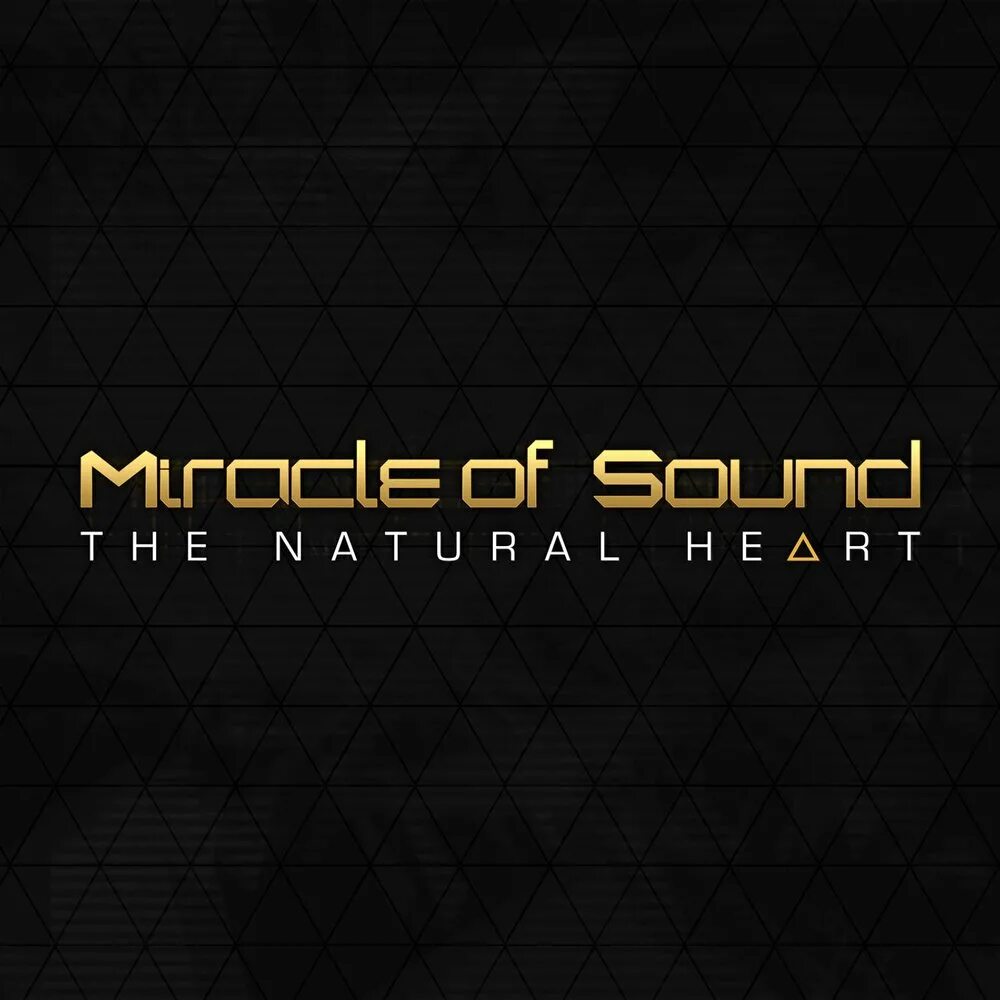 Miracle of sound. Miracle of sound группа. miracleofsound. miracle of sound skal.