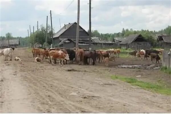 Погода в чиндате