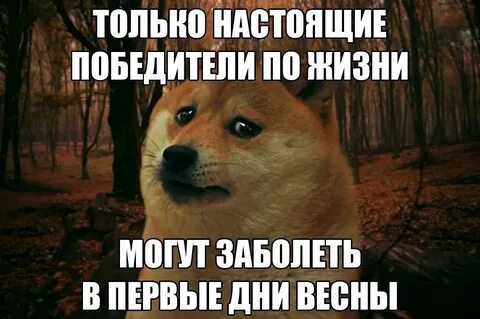 Я твой 03 если что болит