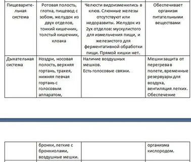 Системы птиц таблица