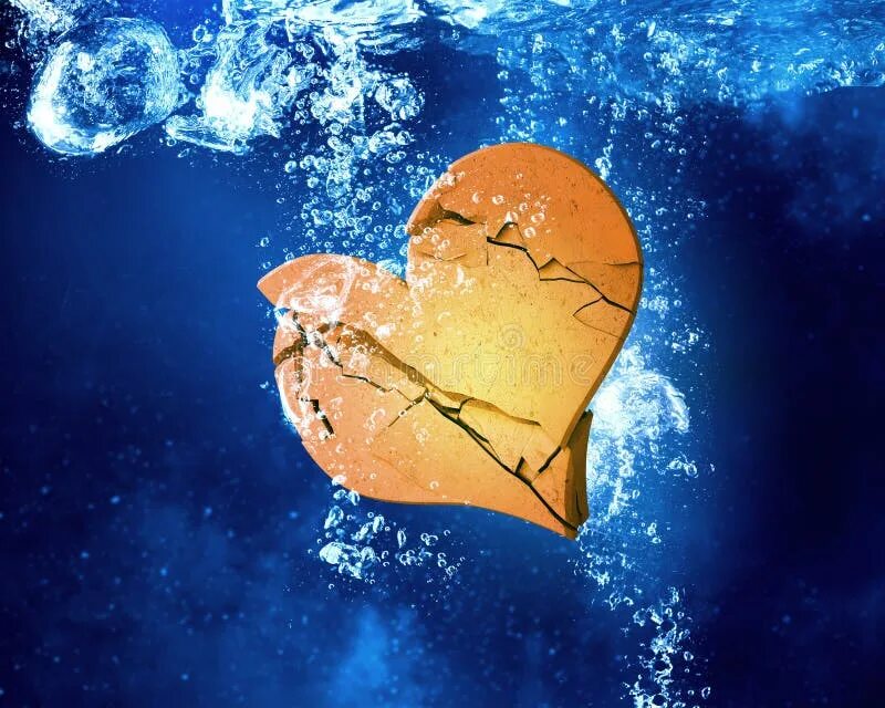 Человеческое сердце в цветах. Человеческое сердце с цветами. Heart тону. Сердце рисунок. Человеческое сердце в цветах.