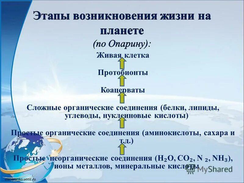 Начальные этапы развития жизни 9. Этапы возникновения жизни. Этапы возникновения жизни на земле. Этапы ЗАРОЖДПНИЯ юижни. Этапы происходденияжизни на земле.