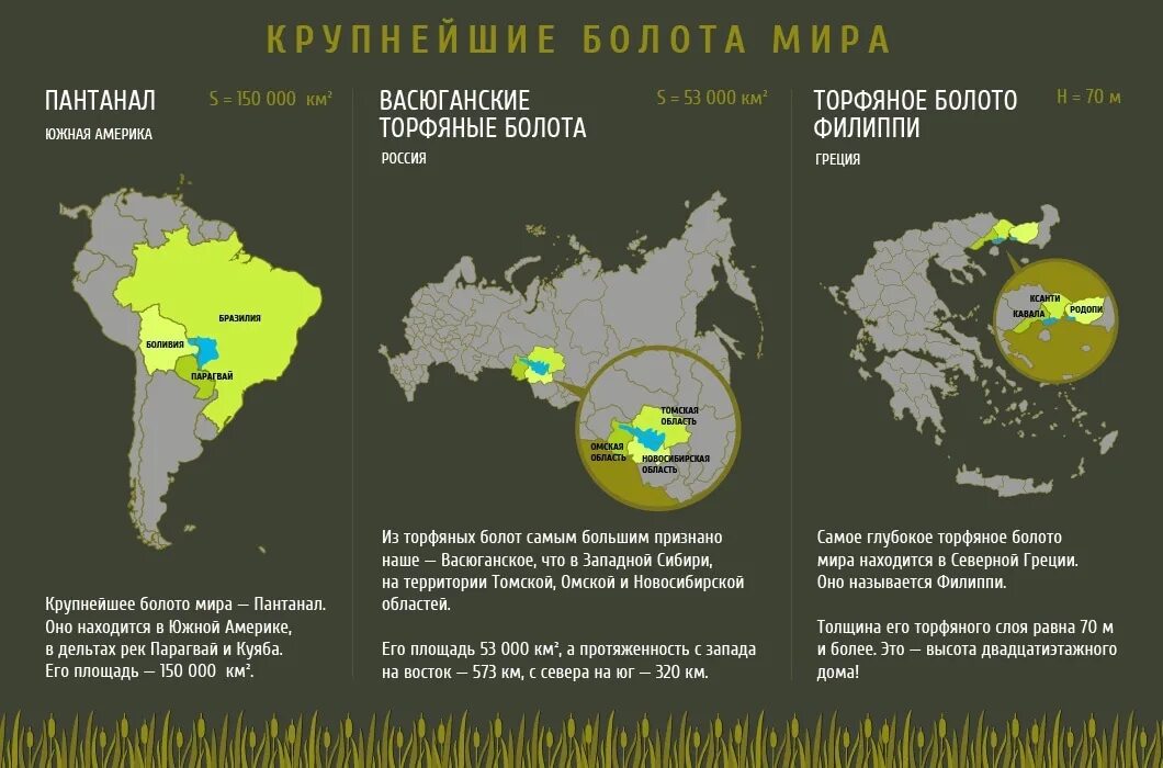 Территории болот в россии. Болото в мире на карте. Самое большое болото на карте.