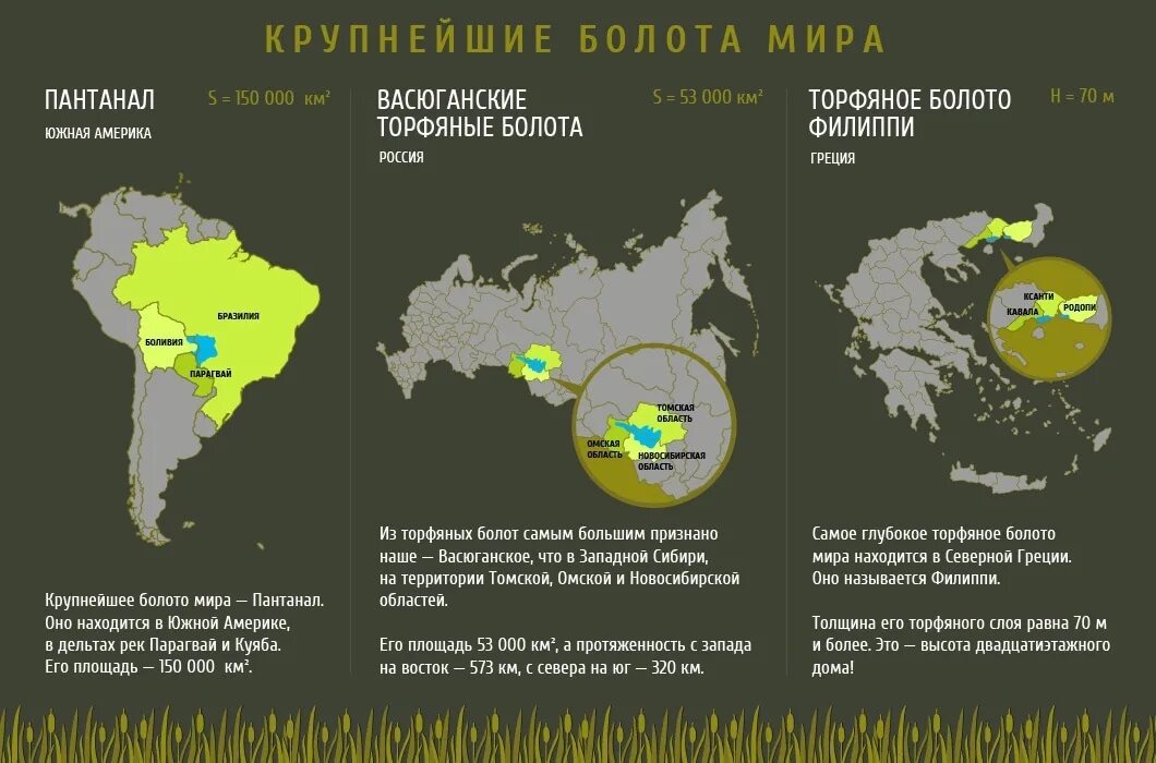 Самая большая территория земли в мире. Болото в мире на карте. Самое большое болото на карте.