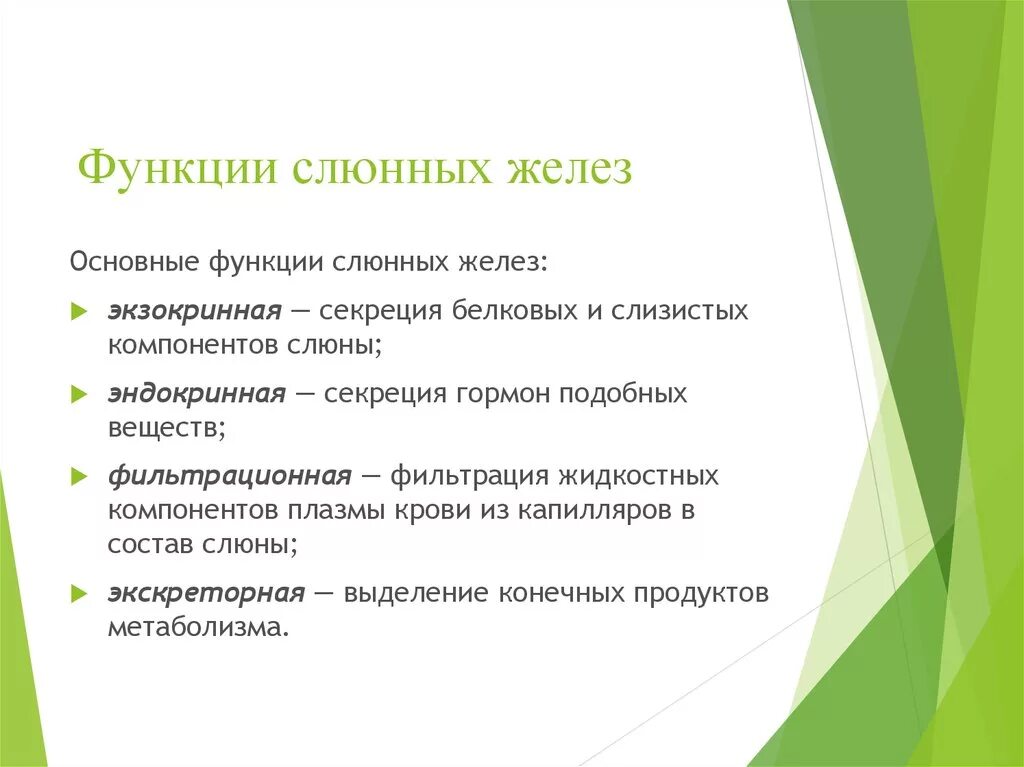 Слюнные железы функции слюнных желез. Функции слюнных желез 8 класс. Слюнные железы строение и функции 8 класс. Мелкие слюнные железы функции. Роль ферментов слюны