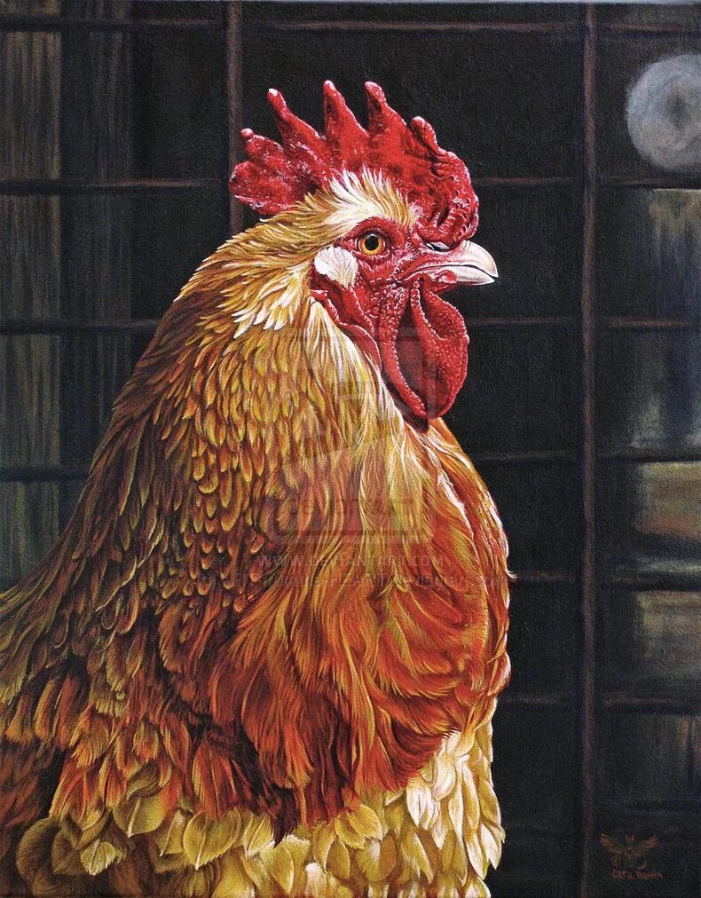 Chicken art
