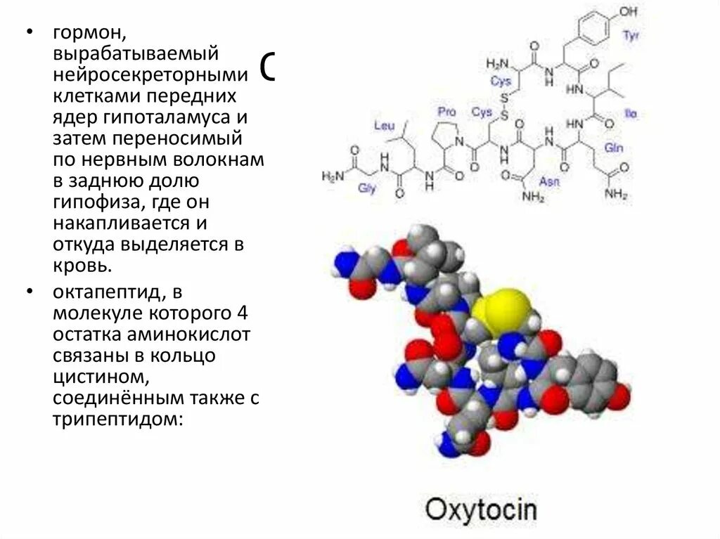 Какие гормоны вырабатываются нейросекреторными клетками. Гормоны это. Гормон продуцирующие клетки. Гормоны, вырабатываемые ядрами гипоталамуса.