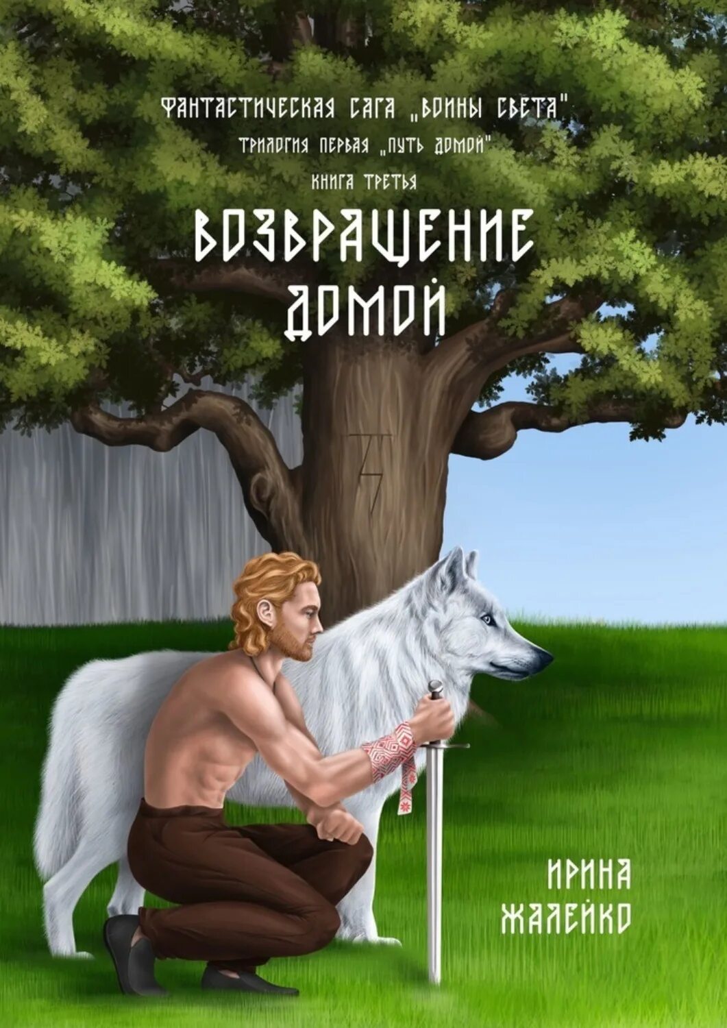 Возвращение домой книга. Фантастическая сага. Книга Возвращение домой Пилчер.