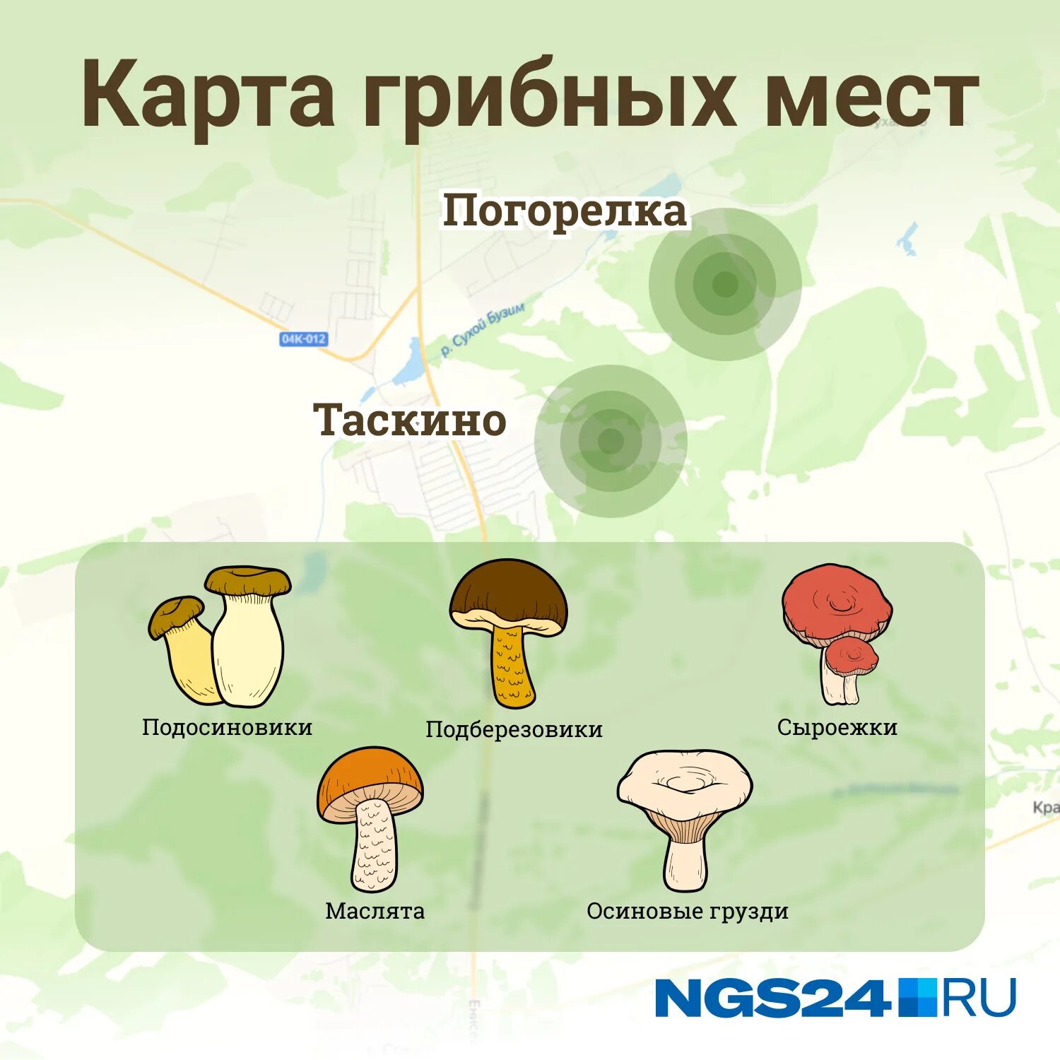 Грибные места подмосковья на карте. Карта грибных мест. Грибные места подмосковья на карте. Грибные места в казани 2024. Карта грибника подмосковья.
