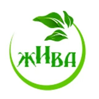 Эко брянск