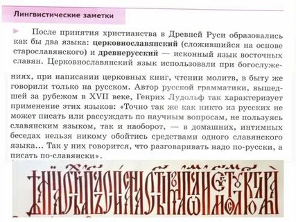 Русский литературный язык 9 класс