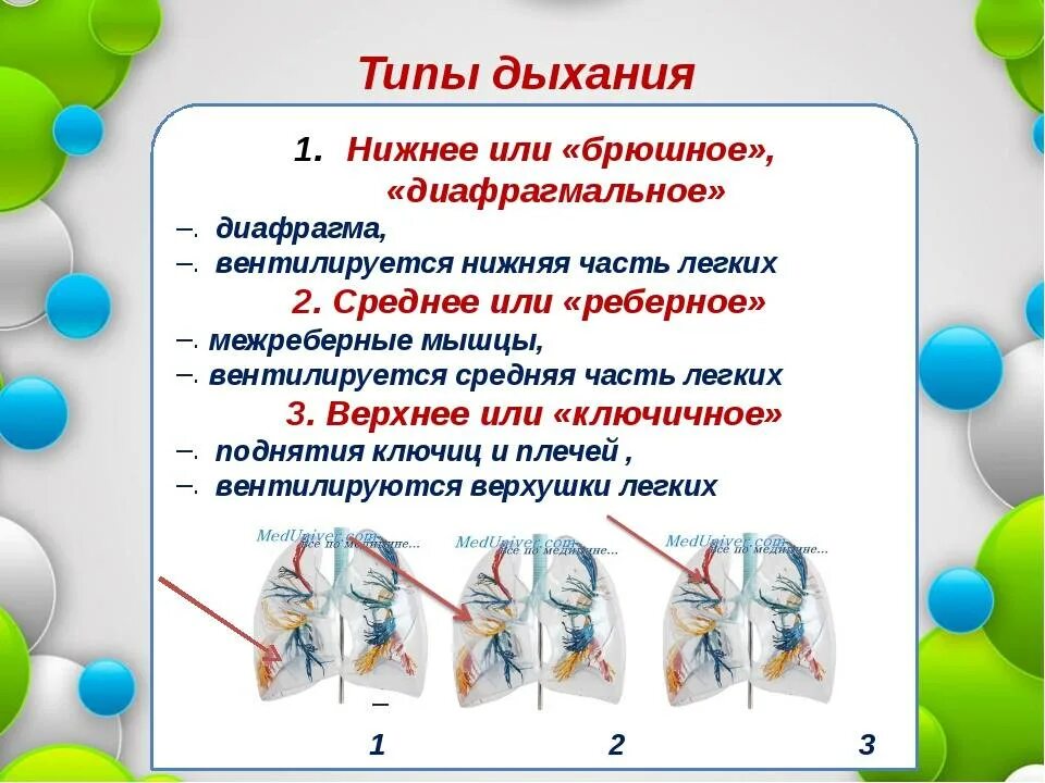 Виды дыхательных упражнений. Дыхательная гимнастика презентация. Виды дыхательной гимнастики. Виды дыхательной гимнастики для детей. Выполнение дыхательной гимнастики