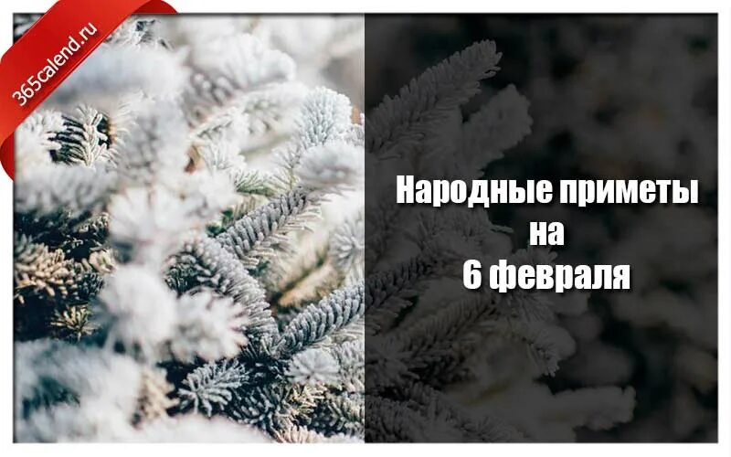 Народные приметы февраль 2024