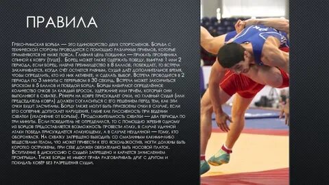 Шинная борьба