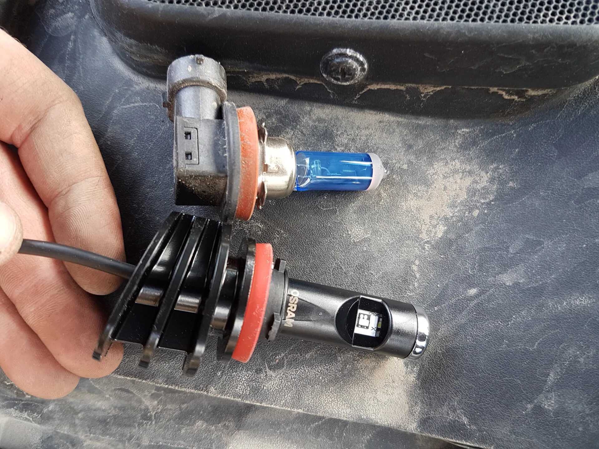 Цоколь габаритной лампы ford focus 1. Лампы габаритов форд фокус 2 рестайлинг. Лампочки дальнего света форд фокус 2. Лампа ближнего света форд фокус 3. Лампа стоп габарит форд маверик 2005.