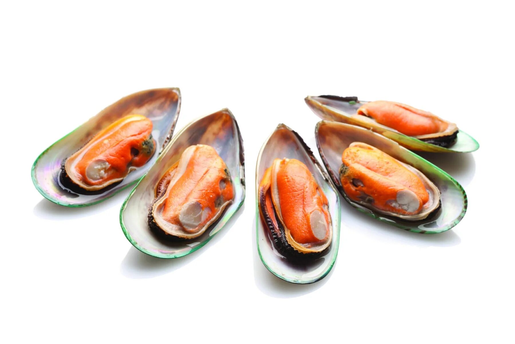 Фаршированные мидии (midye dolmasi). Мидии в природе. Мидии черноморские. Борода мидии. Мидии по бельгийски.