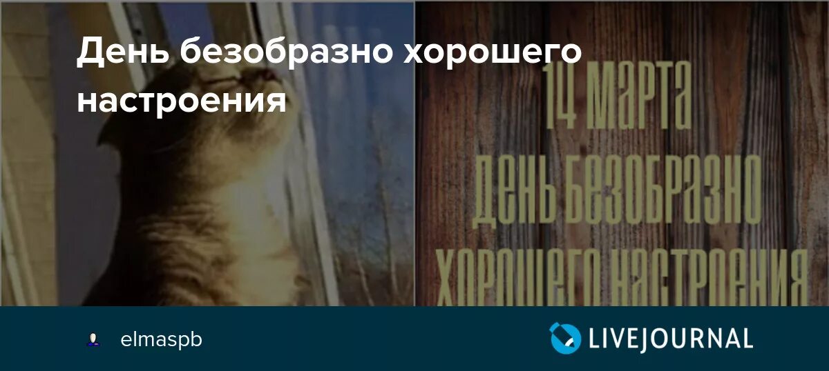 День безобразно хорошего настроения картинки прикольные. День безобразно хорошего настроения. День безобразно хорошего настроения 14. День ьезобразно хорошего нпстроени.