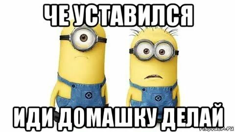 Дай домашку сделать