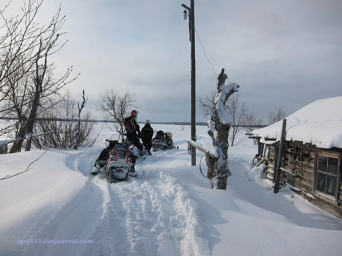 Норвежский погоды снежногорск. Зимник Краснощелье Ловозеро. Село Краснощелье Мурманская область. Деревня Краснощелье. Филиппов Алексей Владимирович Краснощелье.