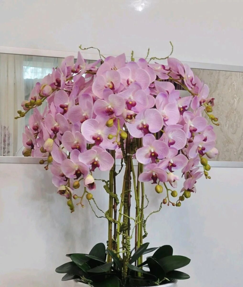 Орхорай