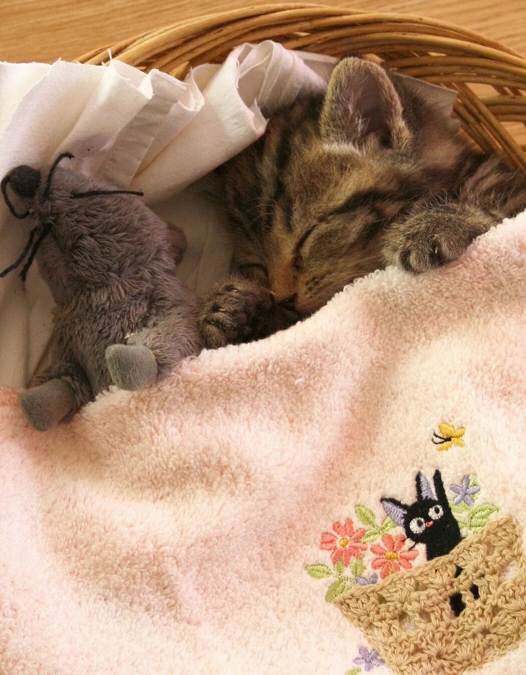 Картинки добро ночи с животными. Спокойной ночи кот. спящий котенок. спокойной ночи с кошками. спокойной ночи котик.