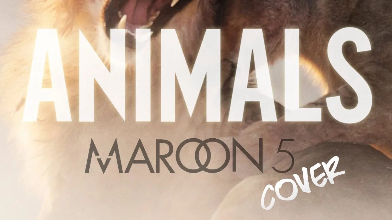 Анималс музыка слушать. Maroon 5 обложка. Martin garrix animals. Одежда из клипа animals maroon 5. Песня animals maroon 5.