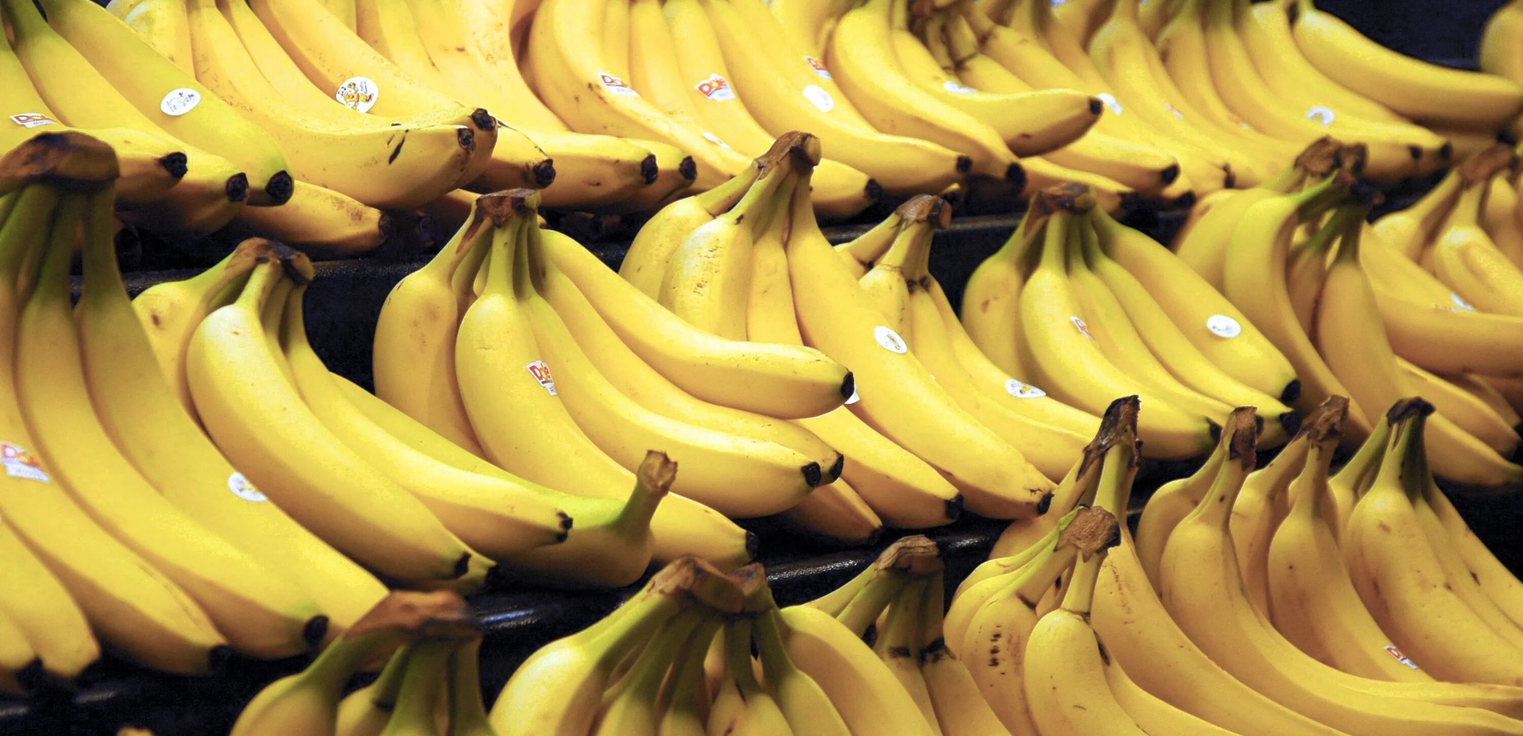 Can i have a banana. Can i have a banana
