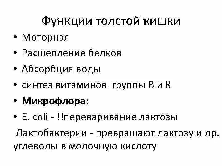 Кишечник функции кратко. 2 функции толстого кишечника. функции толстой кишечника. основная функция толстого кишечника. функции толстого кишечника кратко.
