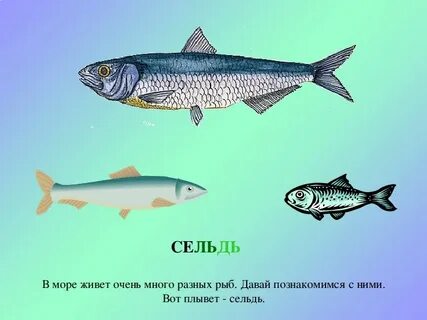 Тишина нарушаемая всплесками рыбы