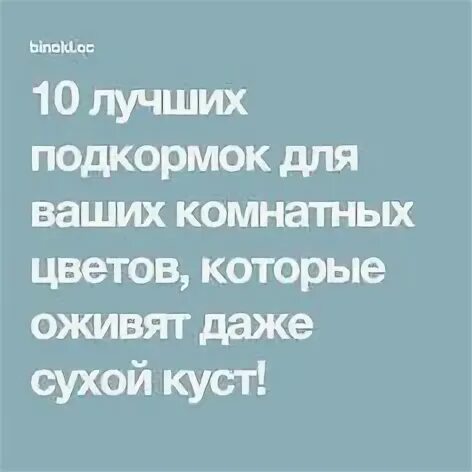 И даже на сухом
