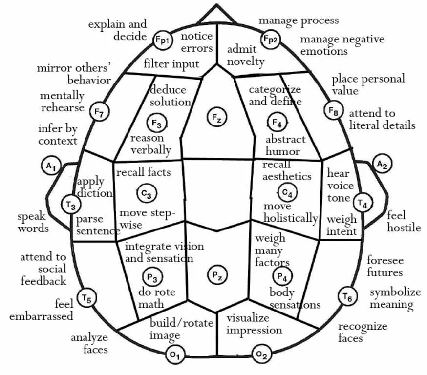 Types of emotions. Брейн карта. Different Types of emotions. Dario Nardi Neuroscience of personality.