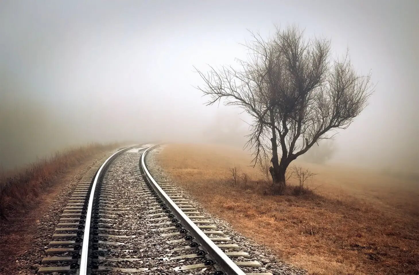 Поезд жизни уходит. Рельсы уходящие вдаль. Уходящий поезд. Железная дорога уходящая вдаль. Рельсы в тумане.